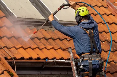 Démoussage et hydrofuge de toiture au Dorat